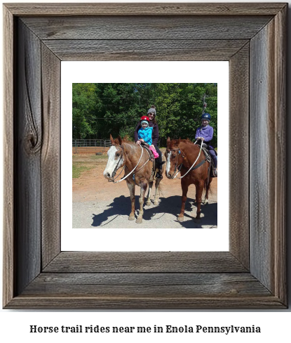 horse trail rides near me in Enola, Pennsylvania